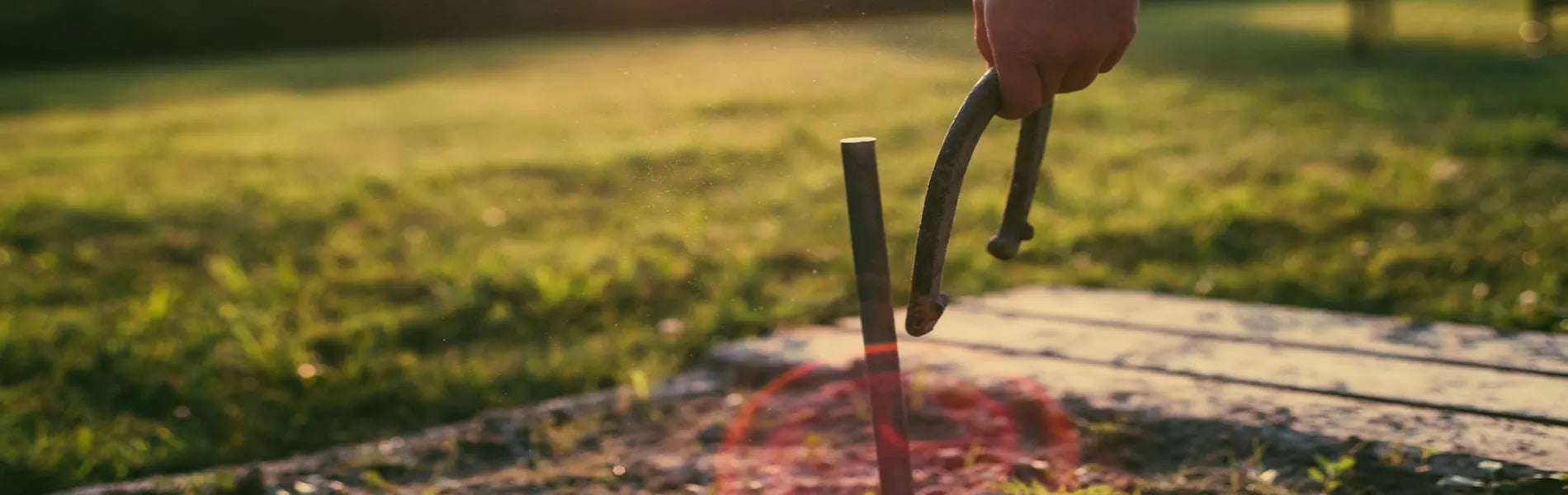Bar games horseshoes