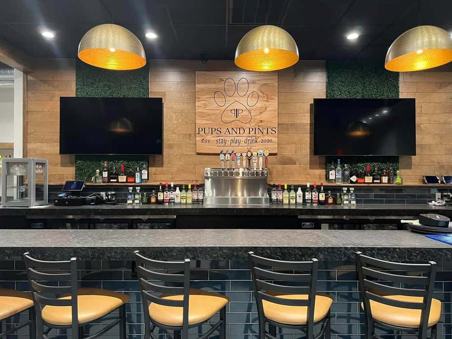 Pups and pints banner