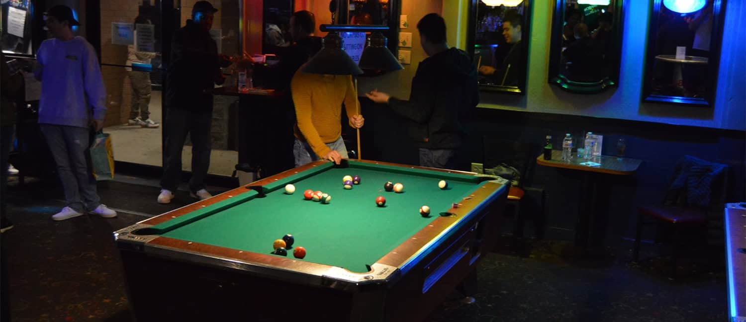 The rainbow cactus banner